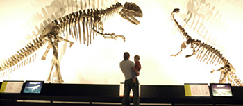 Beijing Museum of Natural History